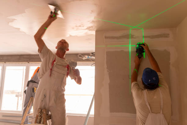 Professional Mold Removal in Novi, MI